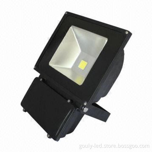 100W LED Floodlight, 85-265V AC/12V DC (Can by Choose) and IP65 Outdoor